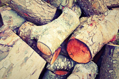 Seion wood burning boiler costs